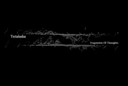Fragments of Thoughts