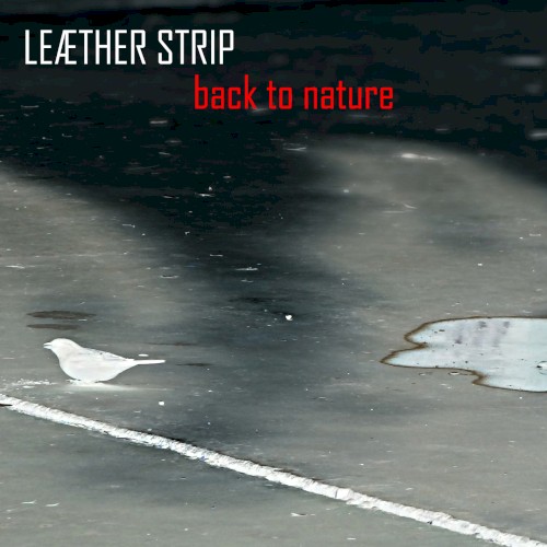Back to nature (Fad Gadget cover)