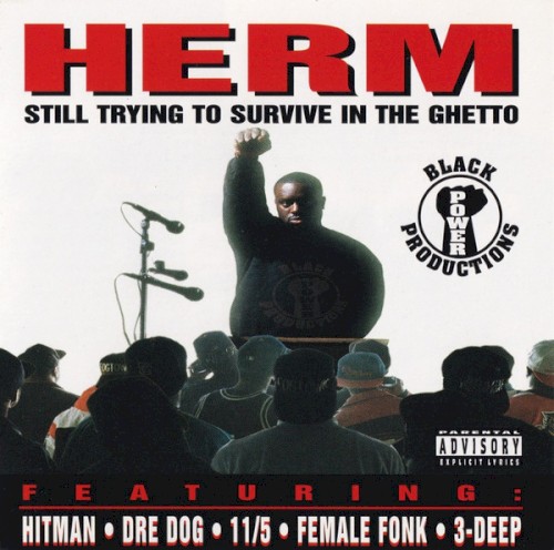 Still Trying to Survive in the Ghetto