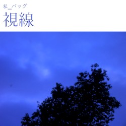 視線 (Gaze)
