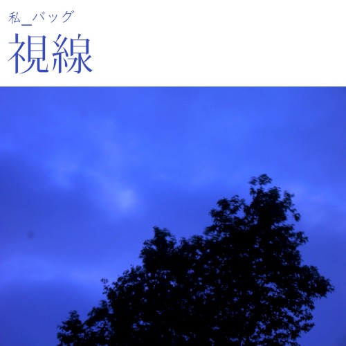 視線 (Gaze)