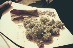 blunts.