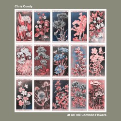 Of All The Common Flowers