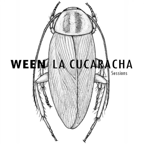 The La Cucaracha Sessions