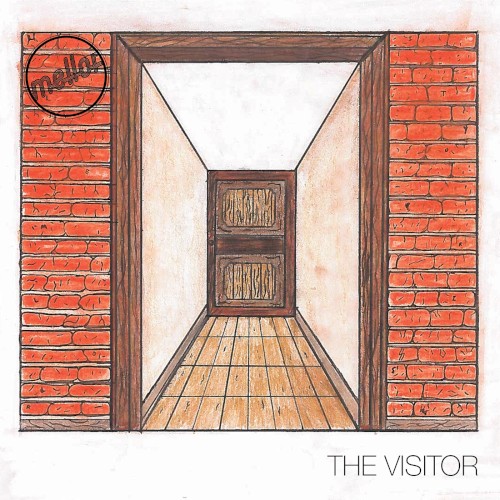 The Visitor