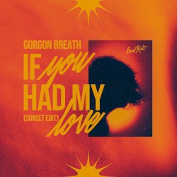 If You Had My Love (Sunset edit)