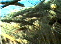 kdi dctb 084a