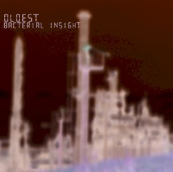 Bacterial Insight
