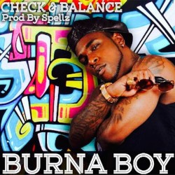 Check & Balance