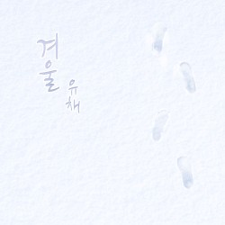 1월의 유채
