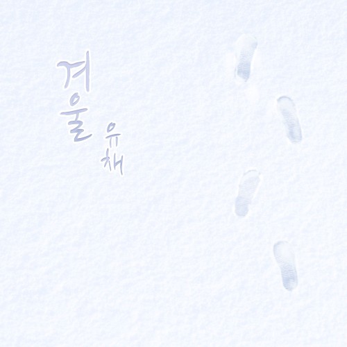 1월의 유채
