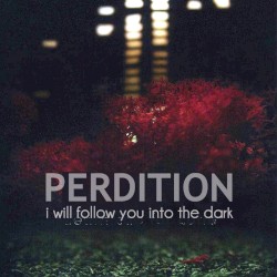 I Will Follow You Into the Dark