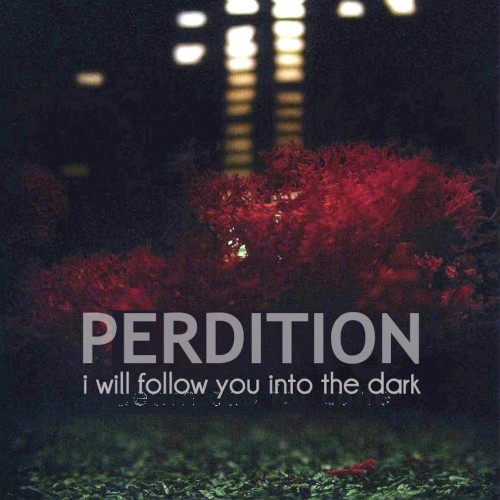 I Will Follow You Into the Dark