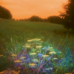 Golden (Remixes)