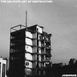 The Delicate Art of Destruction