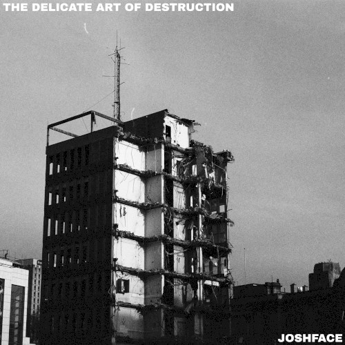 The Delicate Art of Destruction