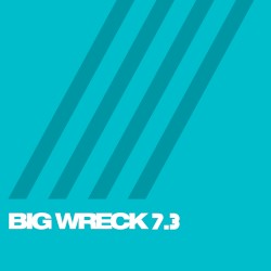7.3