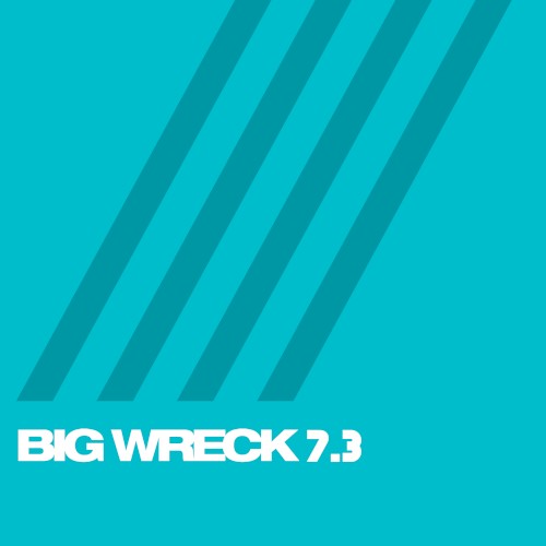 7.3