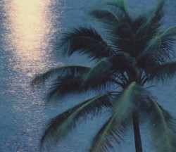 Unreleased Projects
