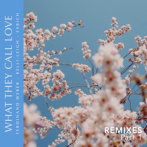 What They Call Love (remixes, pt.1)
