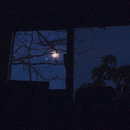 In My Head