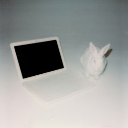 memory_lo55_reloaded