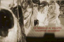Cellophan Encasement