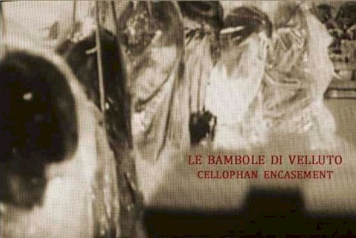 Cellophan Encasement