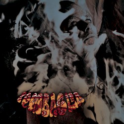 Flesh Throne Press