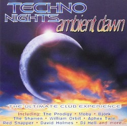 Techno Nights: Ambient Dawn