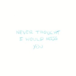Never Thought I Would Miss You