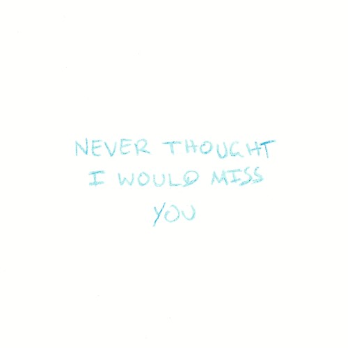 Never Thought I Would Miss You