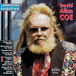 Lonesome Fugitive