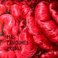 Más canciones crudas