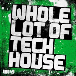 Whole Lot of Tech House
