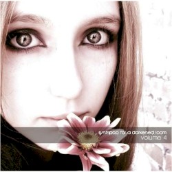 Synthpop for a Darkened Room, Volume 4