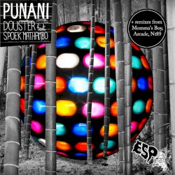 Punani