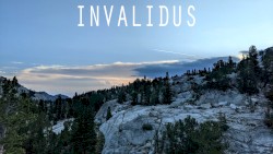 Invalidus