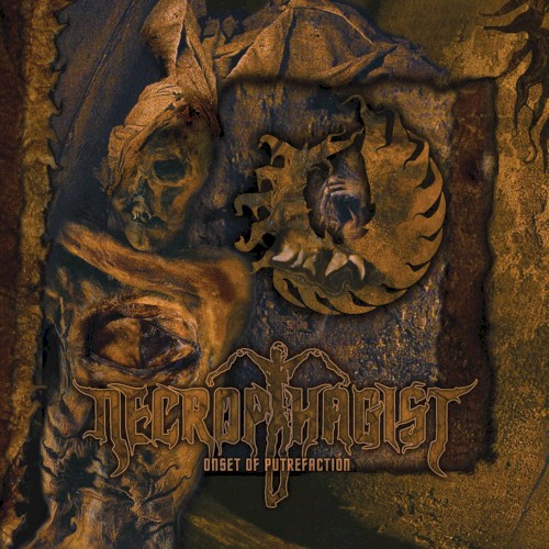 Onset of Putrefaction