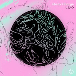 Quick Charge