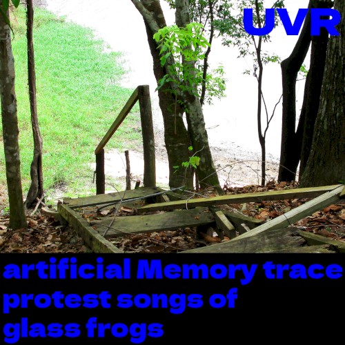 protest songs of glass frogs