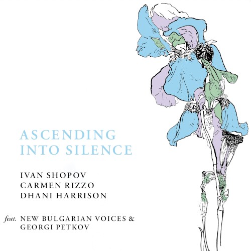 Ascending Into Silence