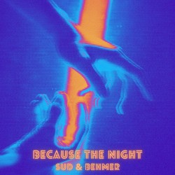 Because the Night