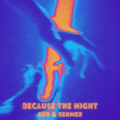 Because the Night
