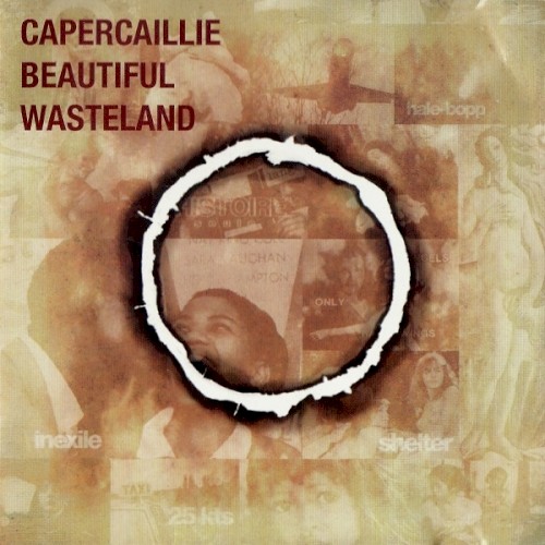 Beautiful Wasteland