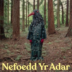 Nefoedd yr Adar