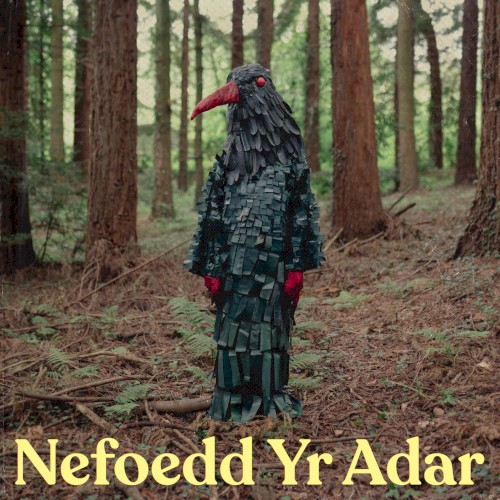 Nefoedd yr Adar
