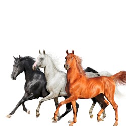 Old Town Road (Diplo remix)