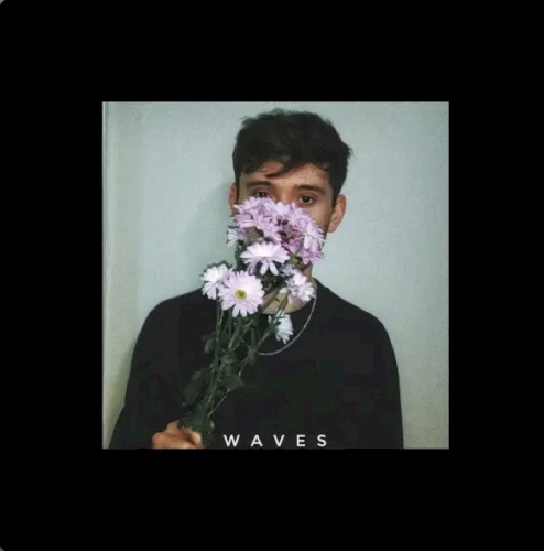 Waves