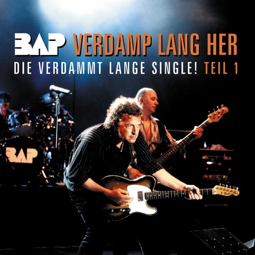 Verdamp lang her: Die verdammt lange Single!